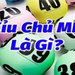 Xỉu Chủ Là Gì? Những Điều Cần Biết Về Khái Niệm Này