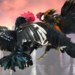 Characteristics of Southern Fighting Chicken